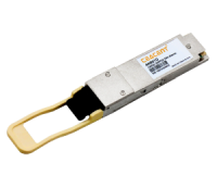 CEACENT   AN951Q