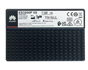 华为ES3500P V6 3.84T